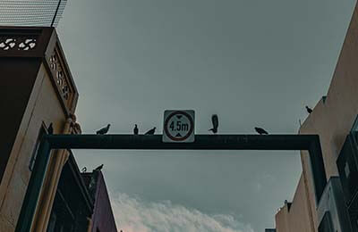 紀(jì)律處分條例心得體會