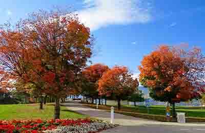 環(huán)境科學(xué)計(jì)算機(jī)技術(shù)論文