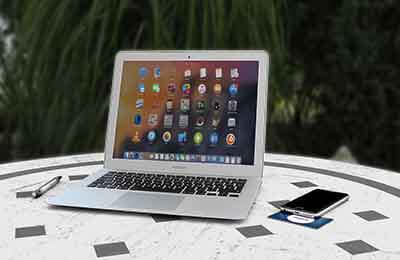 探究蝗蟲基因的克隆與表達(dá)