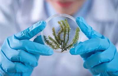 婦科醫(yī)生醫(yī)生事跡材料