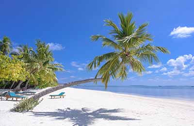 旅游專業(yè)管理