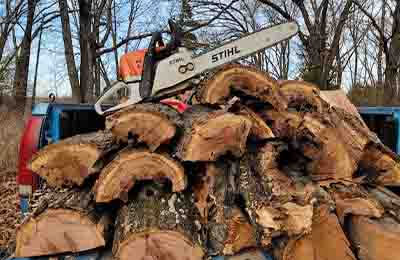 林業(yè)資源調(diào)查報告