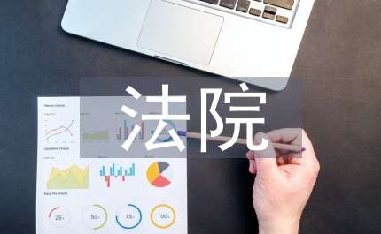 法院任職報(bào)告