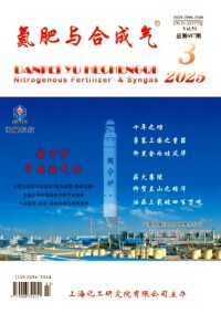 氮肥與合成氣